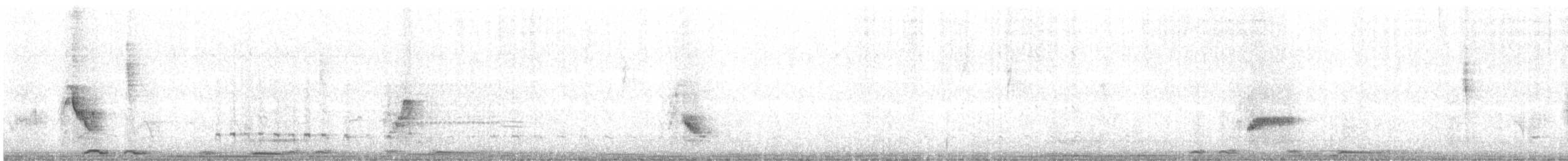 Plumbeous Vireo - ML636234488