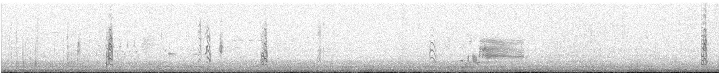 Black Tern - ML63623451
