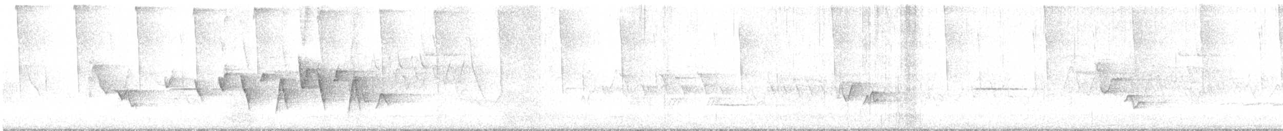 Connecticut Warbler - ML636239460