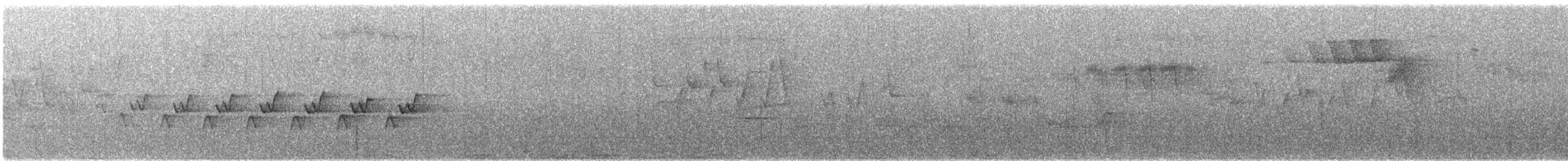 Kentucky Warbler - ML636240764