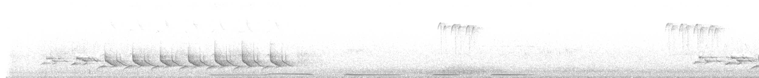 ショウジョウコウカンチョウ - ML636241188