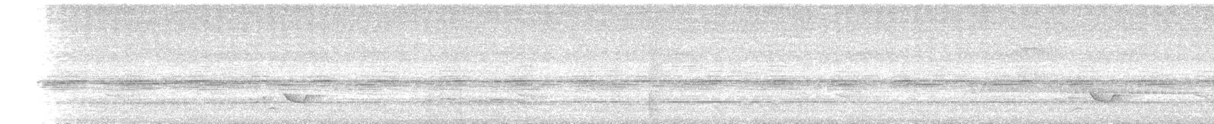Mayan Antthrush - ML636241571