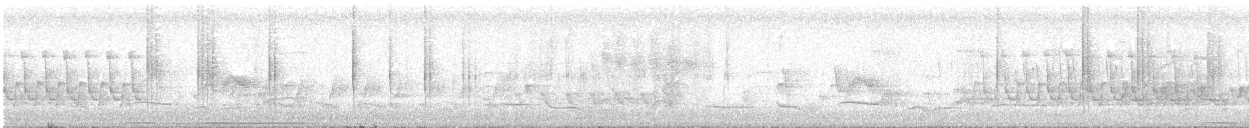 Mexican Violetear - ML636243044