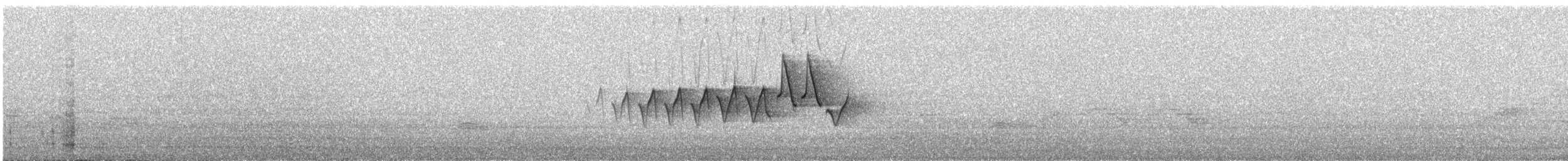 Chestnut-sided Warbler - ML636243527