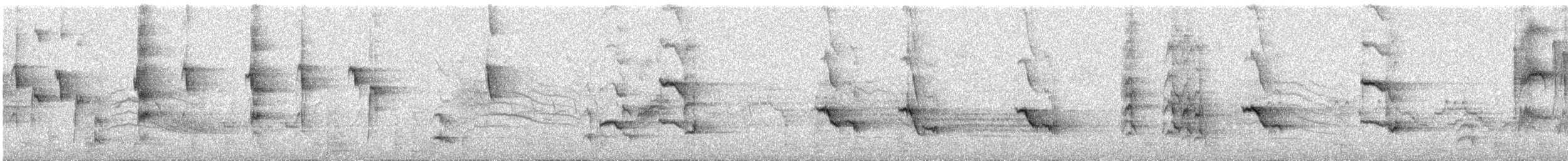 Gray Catbird - ML636244498