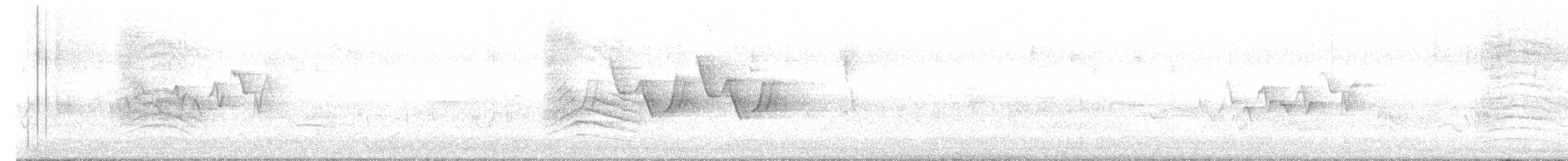 Magnolia Warbler - ML636245934