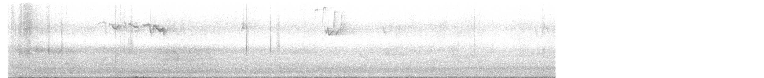 Bay-breasted Warbler - ML636246022