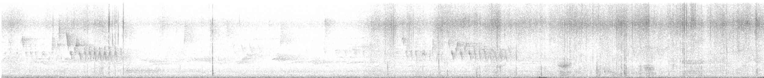 Connecticut Warbler - ML636248194