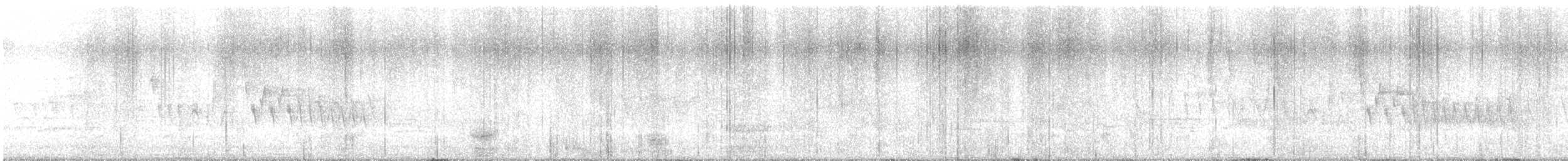 Connecticut Warbler - ML636248195
