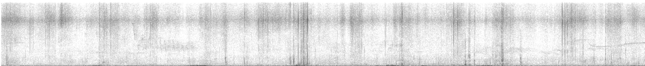 Connecticut Warbler - ML636249195