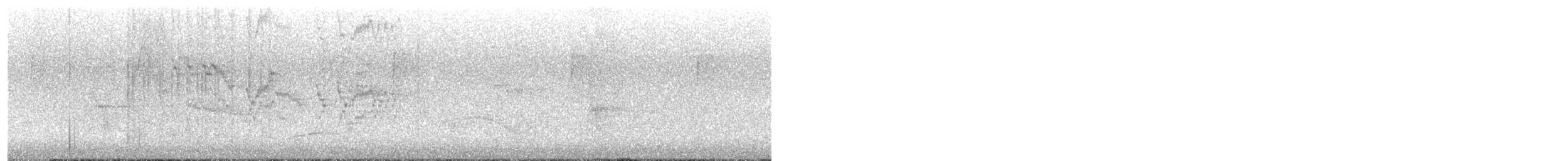 Bicknell's Thrush - ML636251113