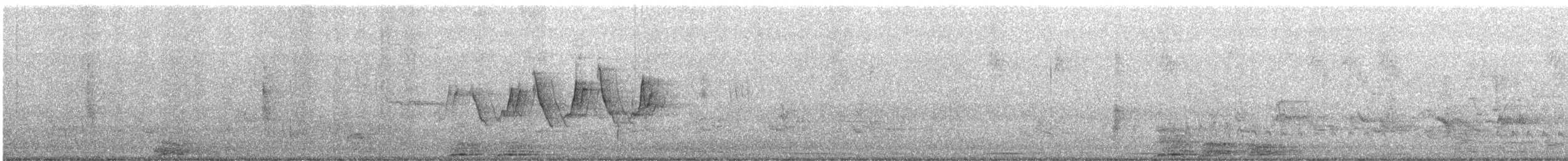 Common Yellowthroat - ML636252708