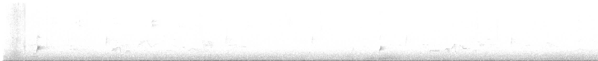 Swainson's Thrush - ML636253072