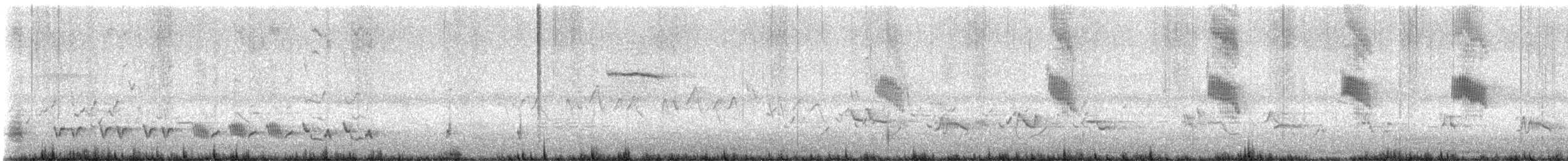 Northern Mockingbird - ML636253991
