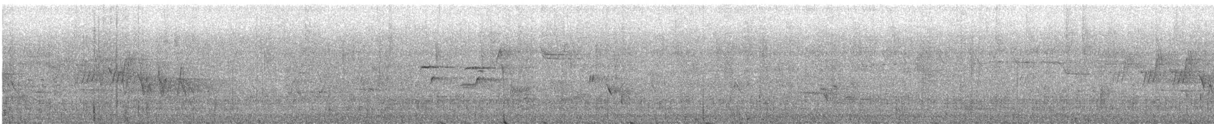 Mourning Warbler - ML636255114