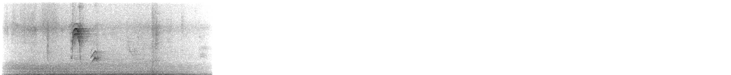 American Robin - ML636256975