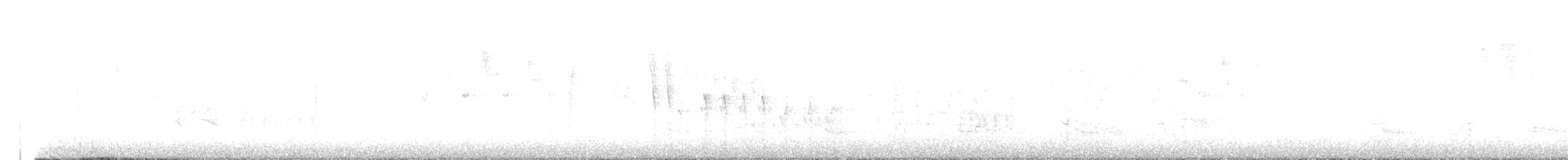 ノドグロアメリカムシクイ - ML636257536
