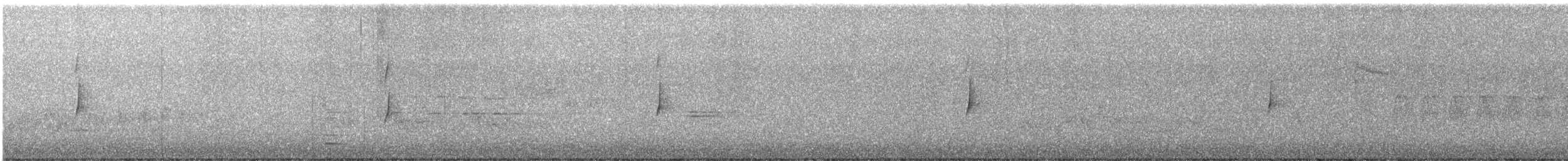 ネズミメジロハエトリ - ML636257814