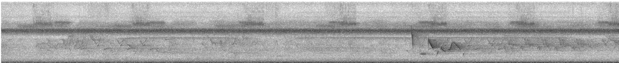 メガネアメリカムシクイ - ML636258315