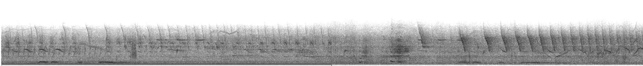 White-winged Dove - ML636262125