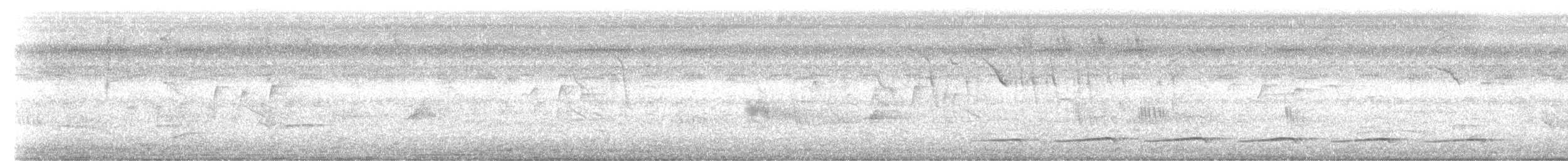 Fasciated Antshrike - ML636263228