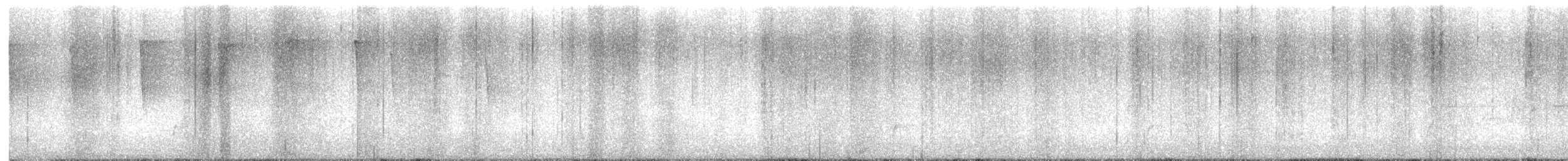 Connecticut Warbler - ML636263953