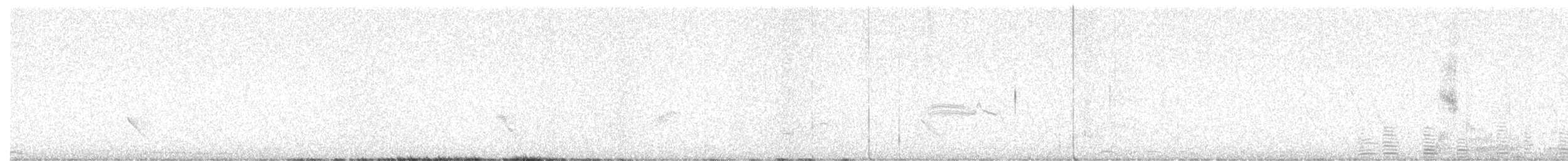 Western Wood-Pewee - ML636264317