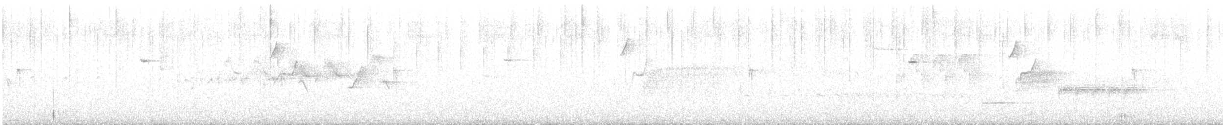 Western Flycatcher - ML636264418