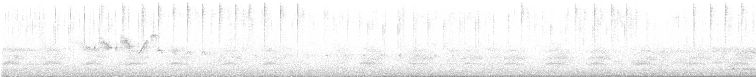 Black-throated Gray Warbler - ML636264448