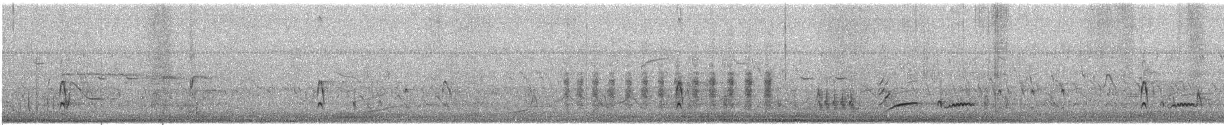 Scissor-tailed Flycatcher - ML636265226