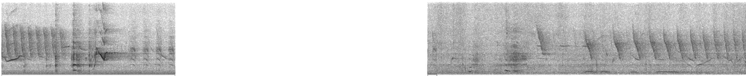 Great-tailed Grackle - ML636265231