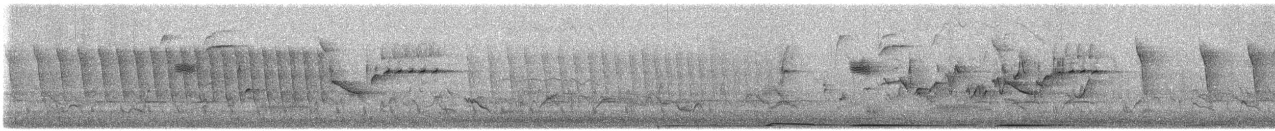 Bewick's Wren - ML636265455