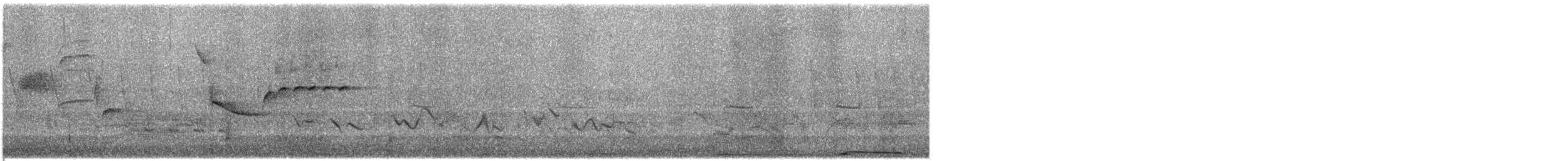 Orchard Oriole - ML636266117