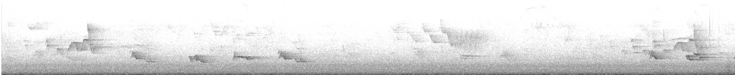 American Robin - ML636266542