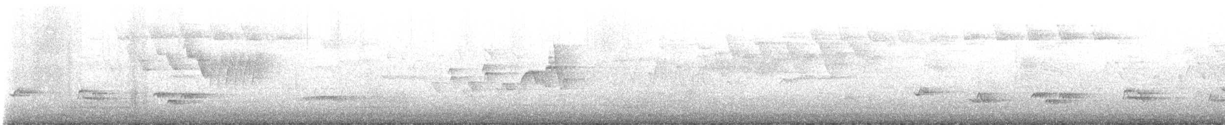 Northern Flicker (Yellow-shafted) - ML636266736