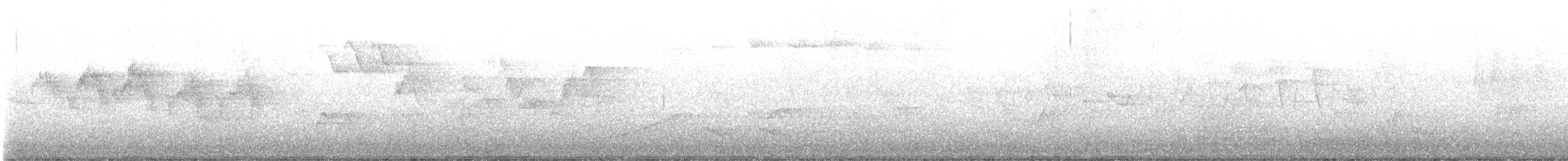 Northern Parula - ML636267466