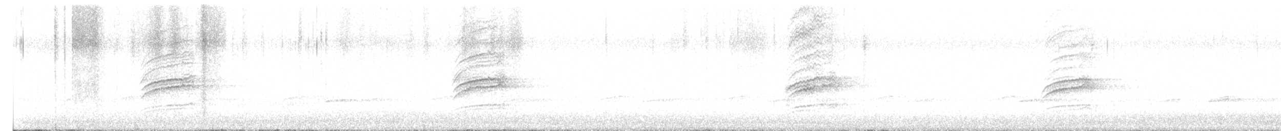 Hermit Thrush - ML636268894