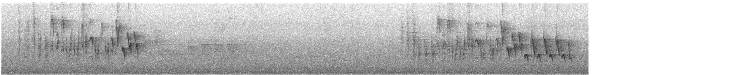 Northern House Wren (Northern) - ML636270644