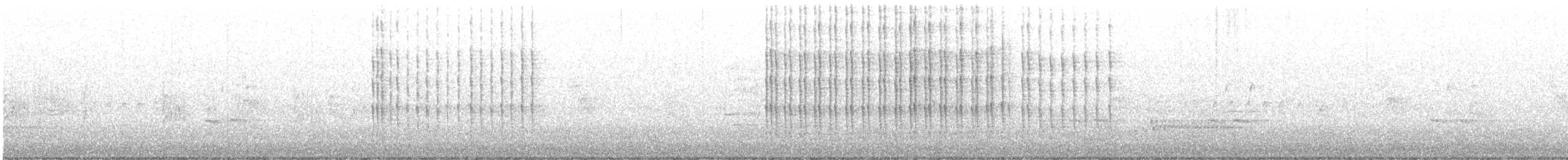 שלדג אמריקני - ML636273372
