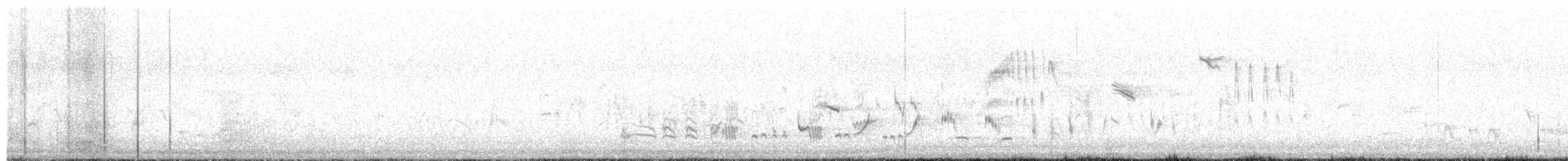 iranie bělohrdlá - ML636275461