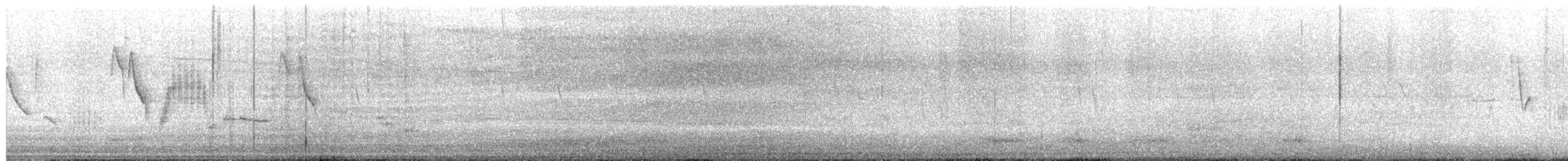 iranie bělohrdlá - ML636275464