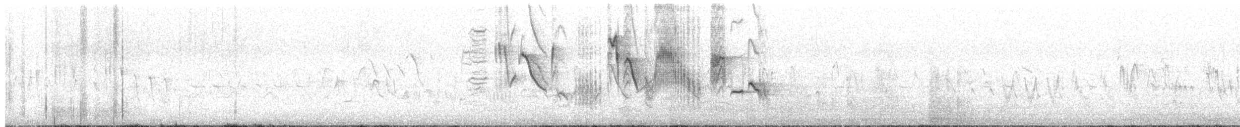 iranie bělohrdlá - ML636275465