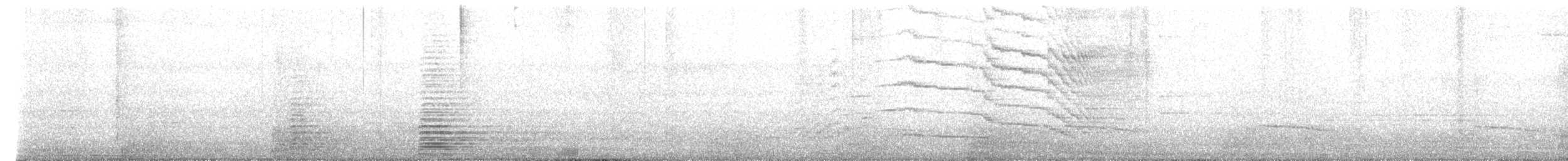 Gray-bellied Cuckoo - ML636278669