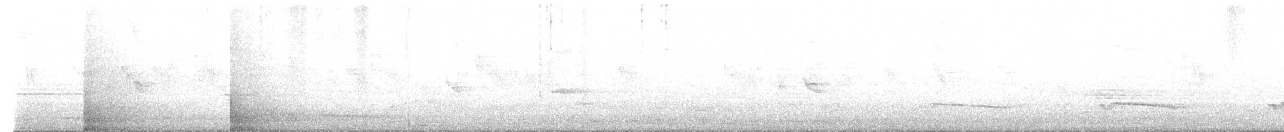 Gray-bellied Cuckoo - ML636278699