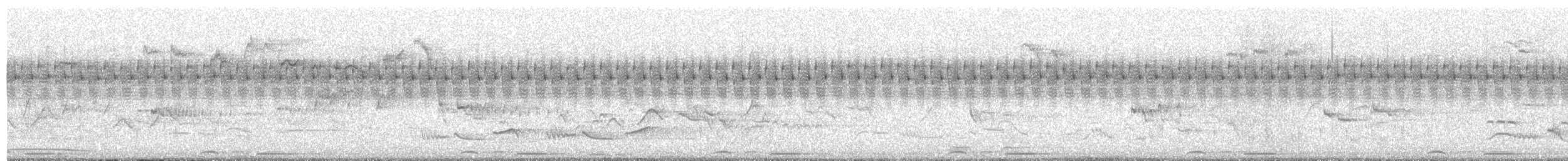 cvrčilka říční - ML636280612