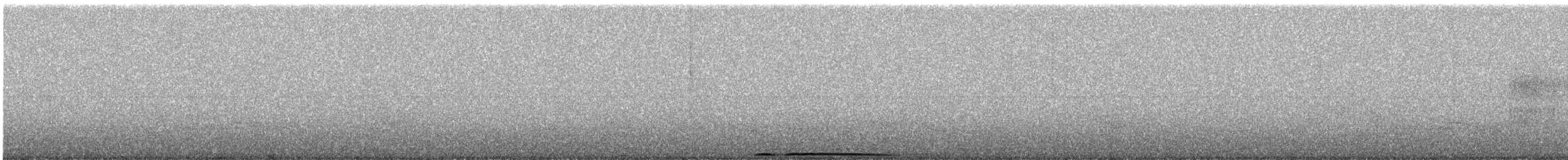 Chouette leptogramme - ML636280956