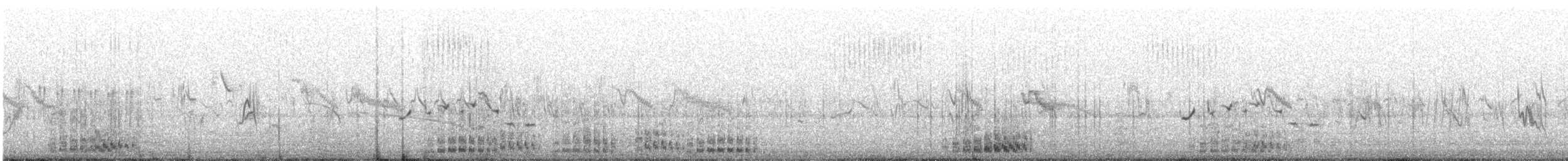 ハゴロモヅル - ML636281285