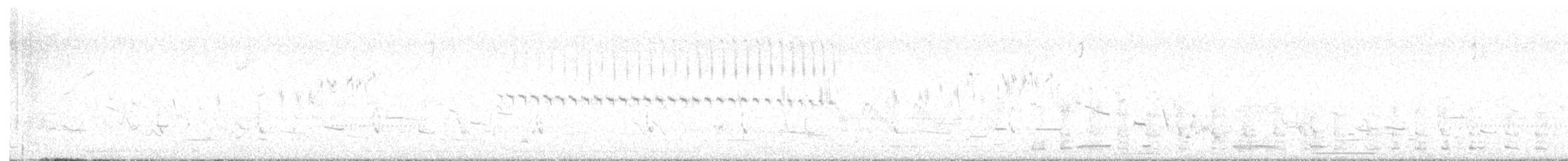 Spizella, unbestimmt - ML636281620