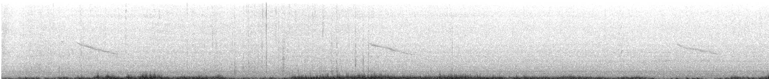 Catharus sp. - ML636282398