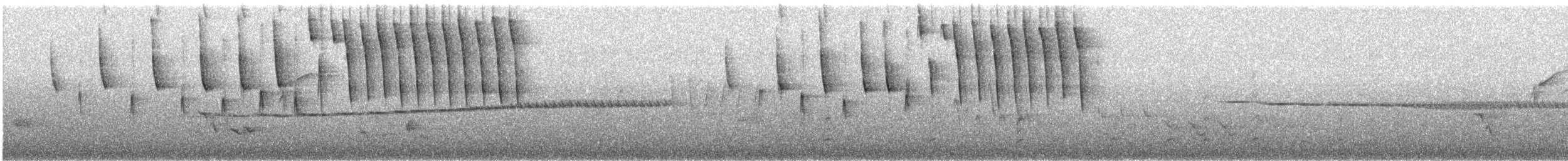 Tennessee Warbler - ML636282539